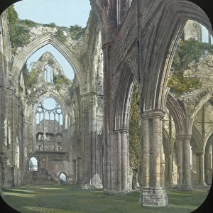 Tintern Abbey (interior of Transepts), Monmouthshire, Wales