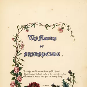 Title page with calligraphic title and floral vignette