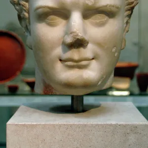 Titus (39-81 AD). Roman Emperor. Bust. Marble