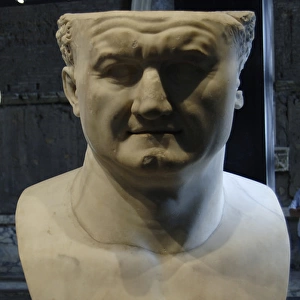 Titus (39-81). Roman Emperor. Colossal Head