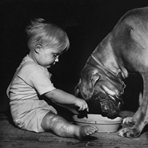 Toddler with dog and bowl