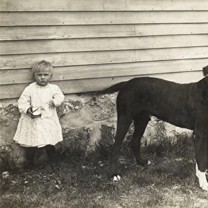 Toddler and large dog in a garden