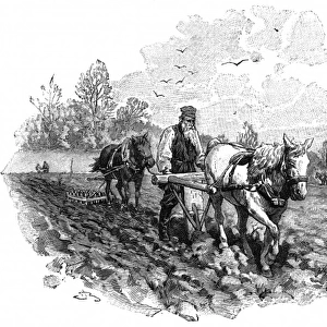 Tolstoy Plowing