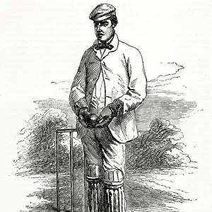 Tom Lockyer, outstanding cricket wicket-keeper