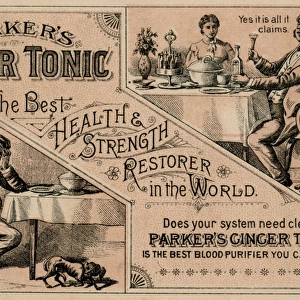 Trade card from Parkers Ginger Tonic, New York City