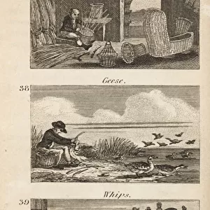 Trades in Regency England: basket making, geese plucking