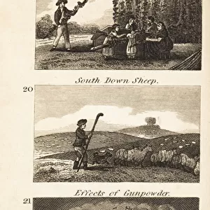Trades in Regency England. Hop picking, South Down