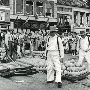 Transporting cheeses - Alkmaar, the Netherlands