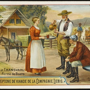 Transvaal Boer Farm