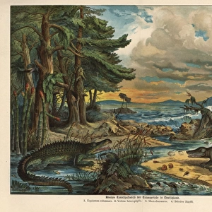 Triassic landscape with plants and amphibians