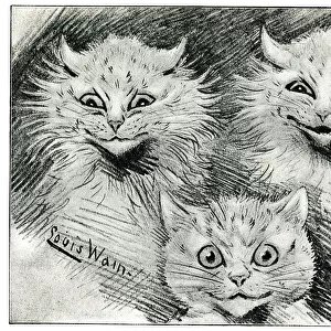 Trio of Cats - Mr Louis Wain at Home