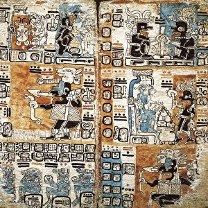 Trocortesian or Madrid Codex. s. XIV. Detail