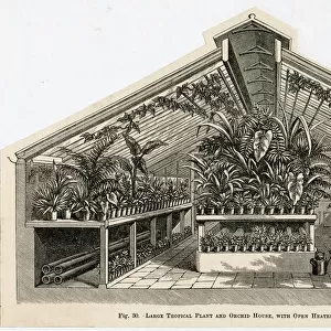 Tropical plant and orchid house