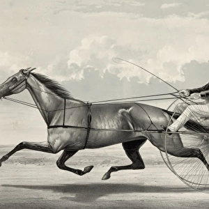 The trotting mare Goldsmith Maid driven by Budd Doble