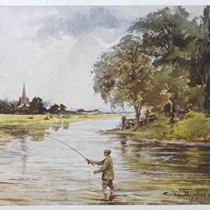 Trout Fishing / Hampshire