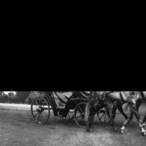 Tsar Nicholas II in a Horse-Drawn Carriage