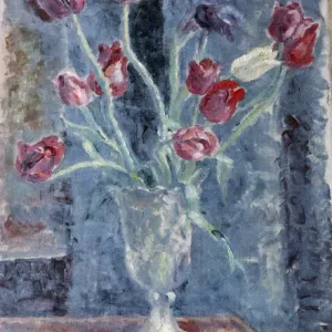 Tulips Tulips