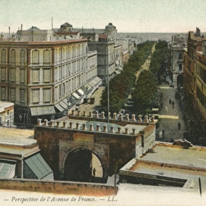 Tunis, Tunisia - Perspective of the L Avenue de France