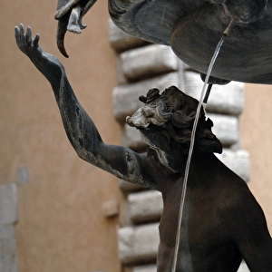 The Turtle Fountain. Detail. Turtle and bronze ephebe. 16th c