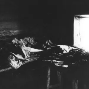 Typhus Sufferers in Kniagin, Russia