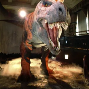 Tyrannosaurus rex