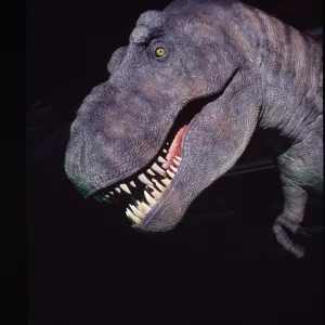 Tyrannosaurus rex