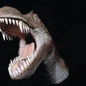 Tyrannosaurus rex