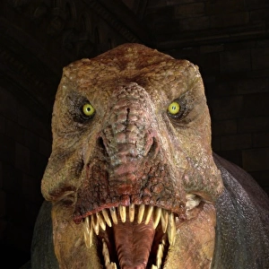 Tyrannosaurus rex, Upper Cretaceous dinosaur