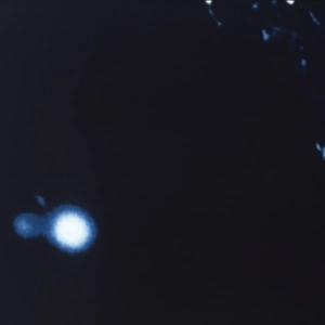 Ufos / Apollo II