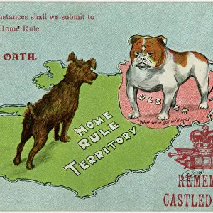 Ulsters Oath - The Bulldog will not submit to Home Rule
