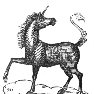 Unicorn