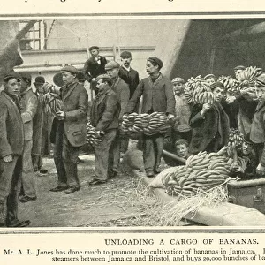 Unloading a cargo of bananas from Jamaica to Bristol