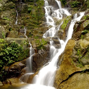 An upper part of Mukut Waterfalls, surrounded by