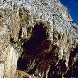 Vanguard cave, Gibraltar