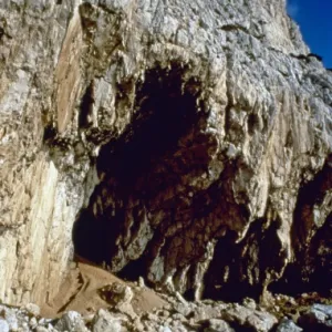 Vanguard cave, Gibraltar