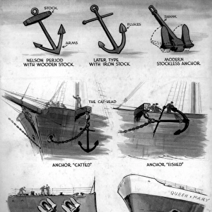 Various types of Anchors, November 1946