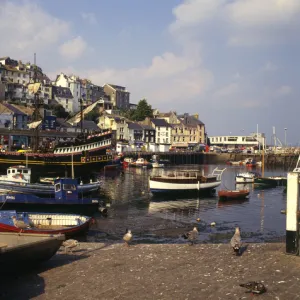 Vessels in Brixham Harbour, Devon