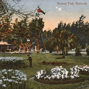 Victoria Park, Hamilton, Bermuda