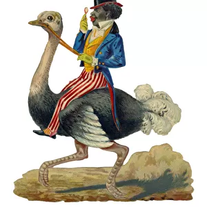 Victorian scrap, black man riding an ostrich