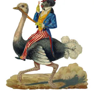 Victorian scrap, black man riding an ostrich