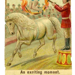 Victorian Scrap - Circus Horse Rider