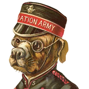 Victorian scrap - Salvation Army dog trumpeter