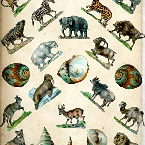 Victorian Scraps - Page of Animals