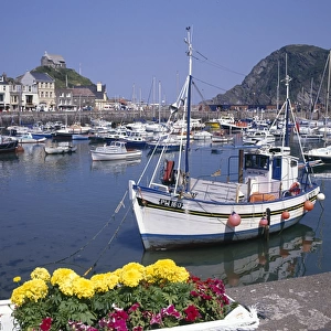 View of the harbour, Ilfracombe, Devon