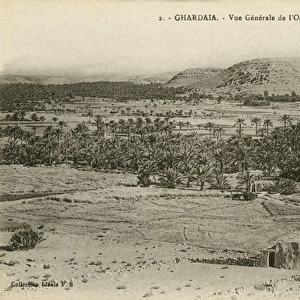 View of the Oasis in Ghardaia, Algeria