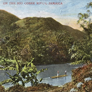 View of the Rio Cobre, Jamaica, West Indies