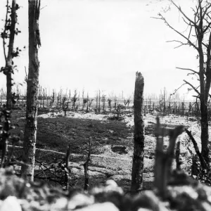 View of Thiepval from Thiepval Wood, Western Front, WW1