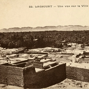 A view of the town and the oasis, Laghouat