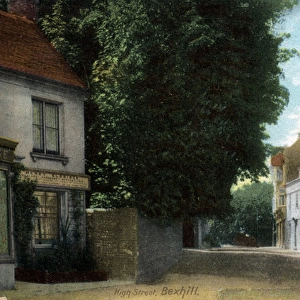 The Village, Bexhill, Sussex