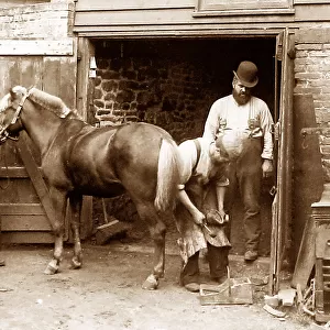 Village blacksmith shoeing horse